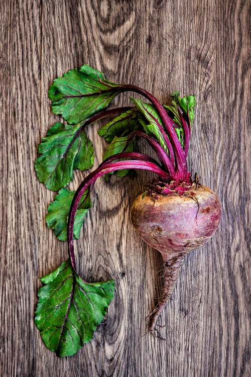 Como Elegir Conservar Y Cocinar Betabel Recetas Y Propiedades